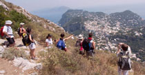 Guide viaggi a Capri.