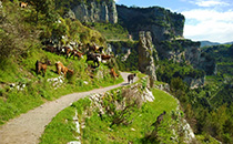 Passeggiate sul Sentiero degli Dei.