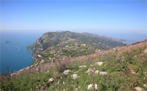 Randonnées autour de Positano.
