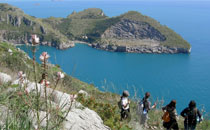 Sentieri naturali in Campania.