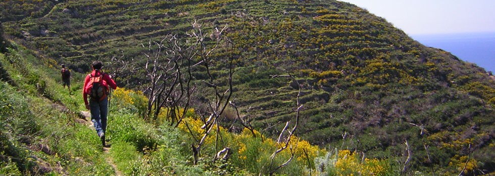 Sentiero naturale sull’Isola di Ponza.